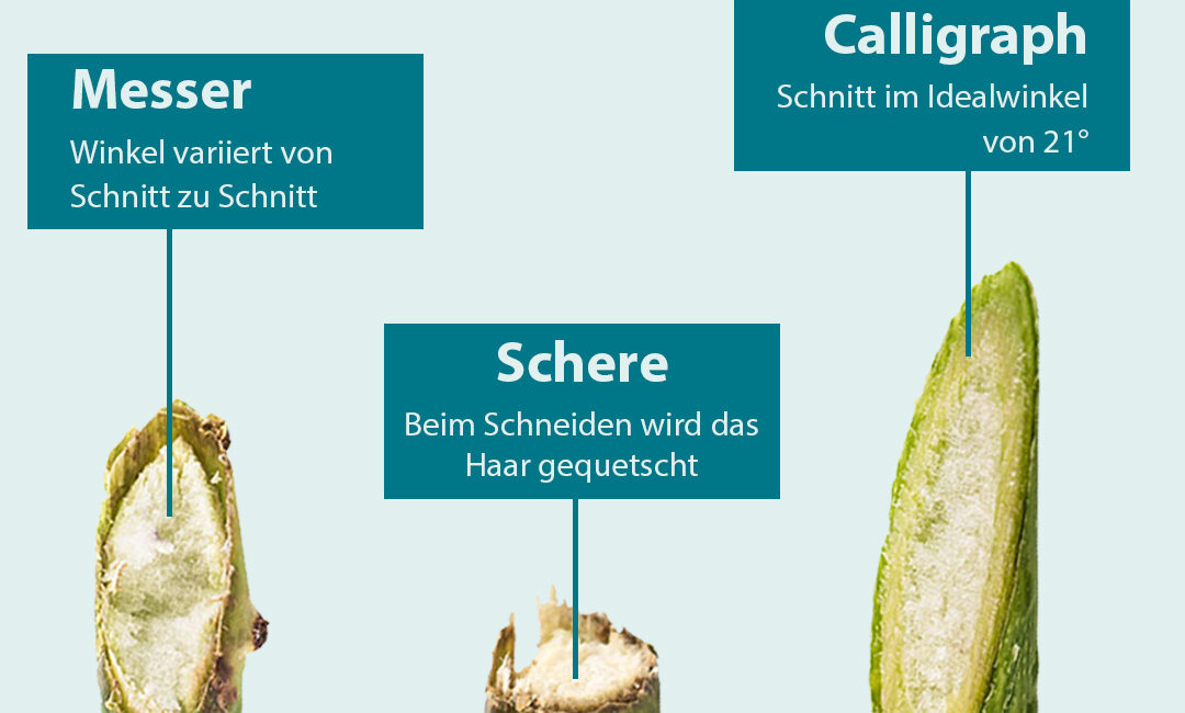 Und eine wissenschaftliche Studie der FH Münster bestätigt: Der Schnitt mit dem Calligraphen sichert ein konstantes Schneideergebnis und schont nachhaltig die Haarspitze.